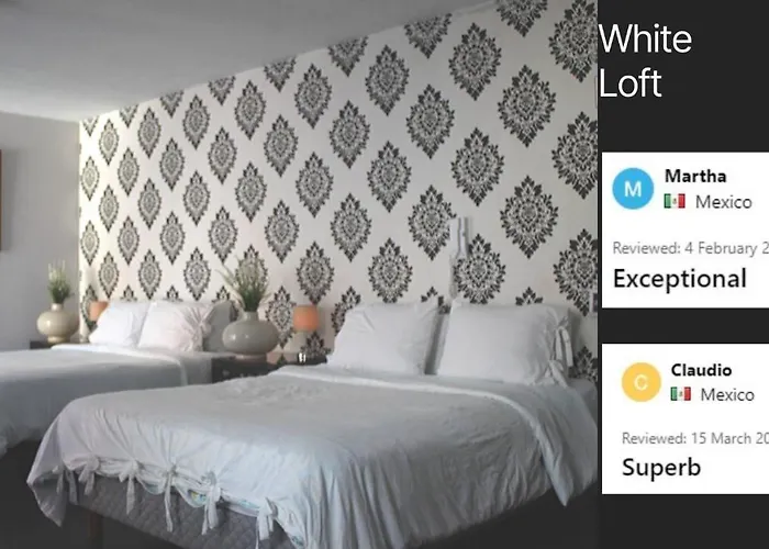 Lodge White Loft,best Location In Polanco W/priv.terrace *