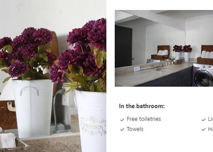 Lodge White Loft,best Location In Polanco W/priv.terrace